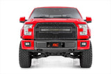 Mesh Grille | 30" Dual Row LED | Black | Amber DRL | Ford F-150 (15-17)