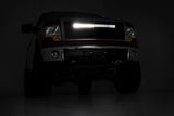 Mesh Grille | 30" Dual Row LED | Black | Ford F-150 2WD/4WD (09-14)